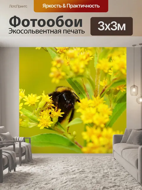 Фотообои Шмель газ