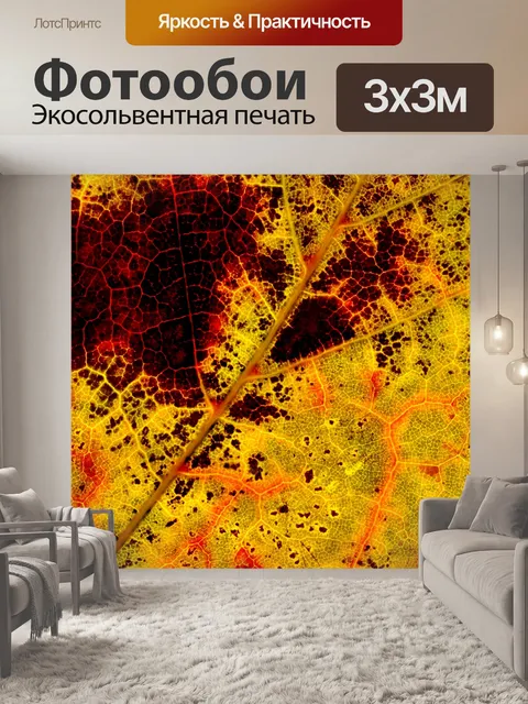 Фотообои Осенняя листва лист макросъемка