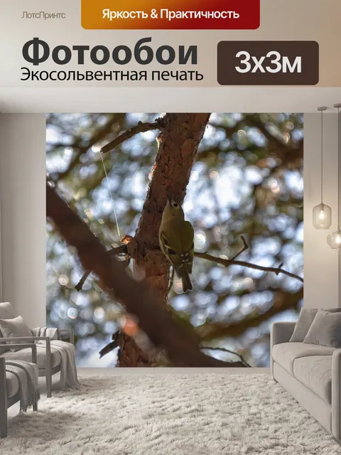 Фотообои Животное