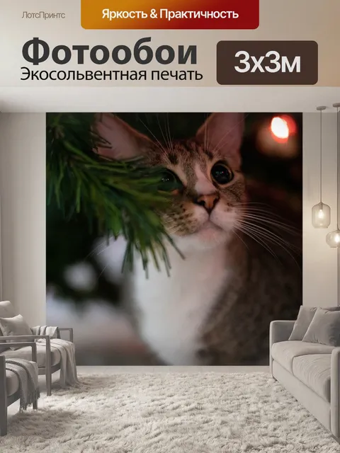 Фотообои Кошка