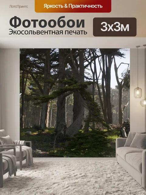 Фотообои Деревня кипарисов