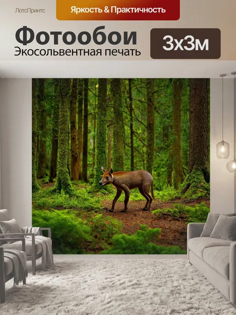 Фотообои природный заповедник с редкими животными, густой лес, чувства приключения