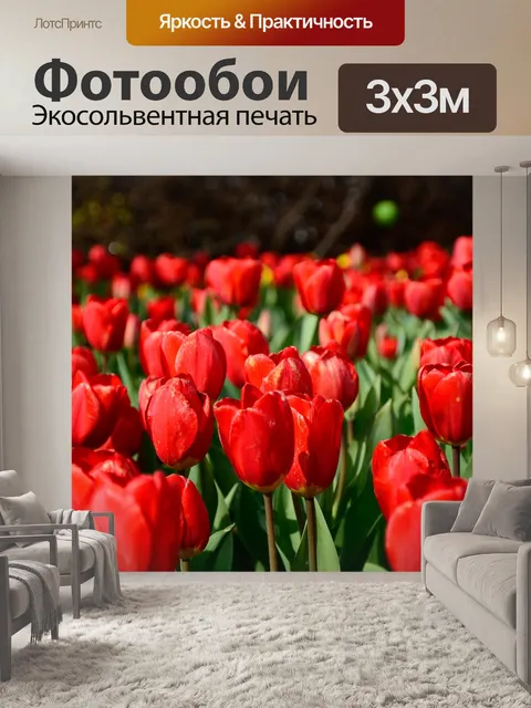 Фотообои Тюльпан