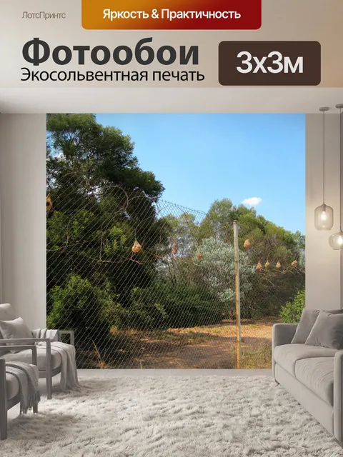 Фотообои ткач гнездится на заборе