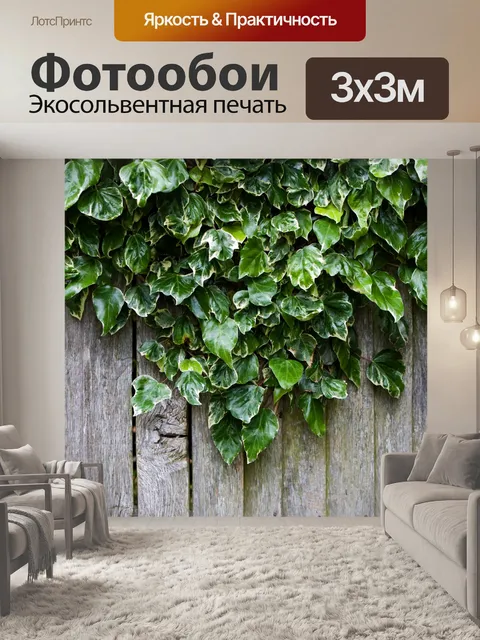 Фотообои Плющ