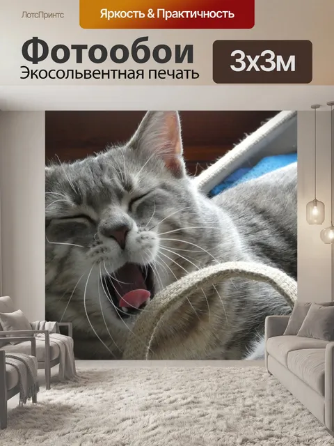 Фотообои Кошка зевает