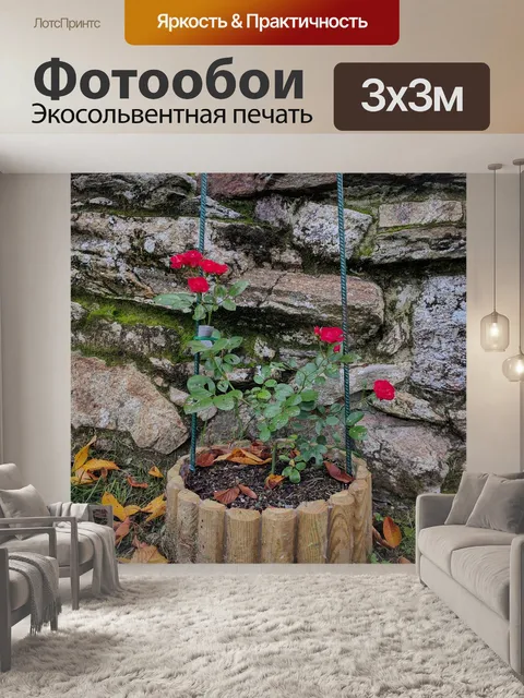 Фотообои Розовый куст