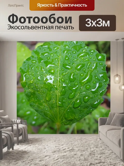 Фотообои Мокрый лист