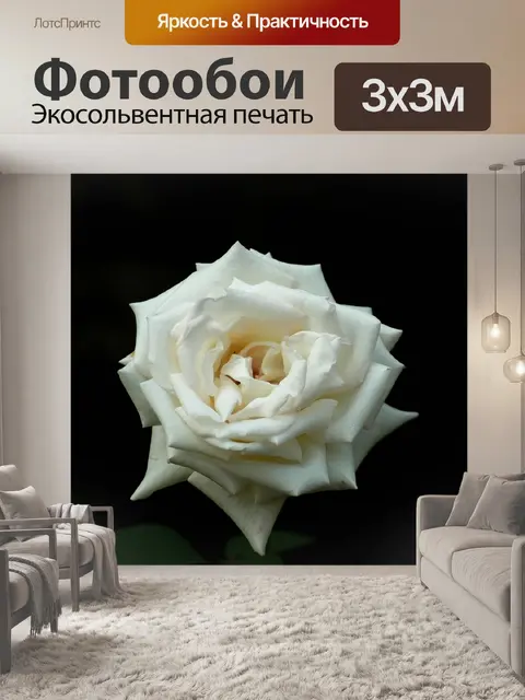Фотообои Роза
