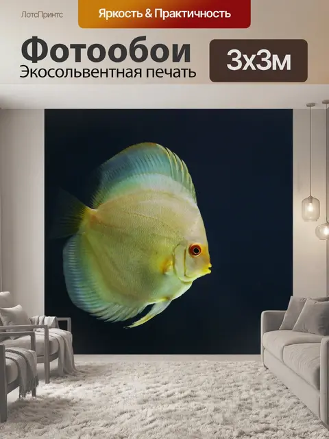 Фотообои Дискус