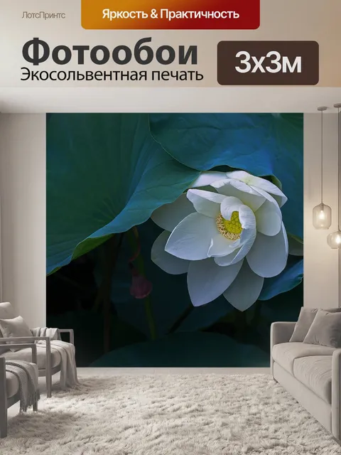 Фотообои Шан