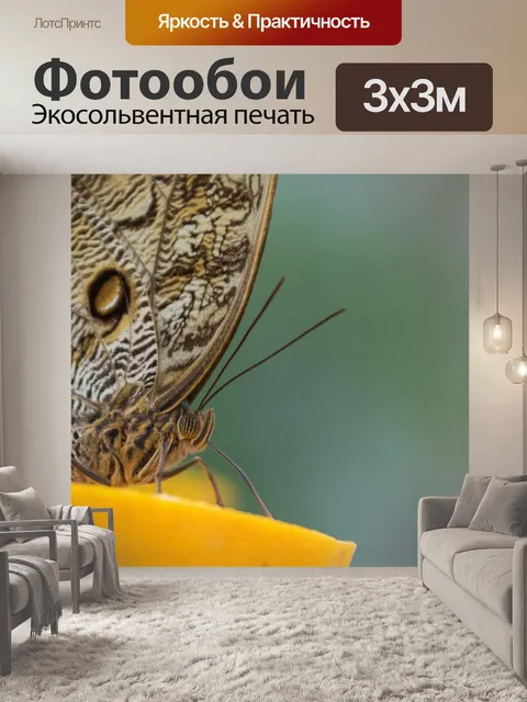 Фотообои Бабочка на фрукте