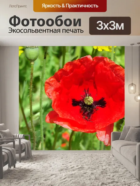 Фотообои Сад Мак