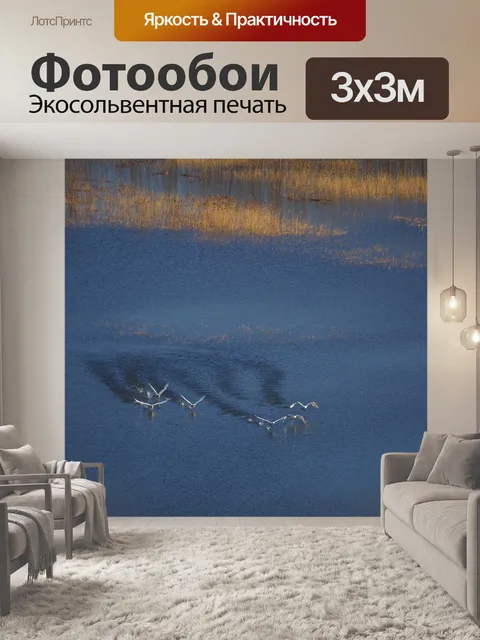 Фотообои Лебедь