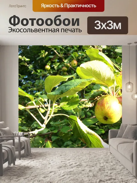 Фотообои Яблоко в день