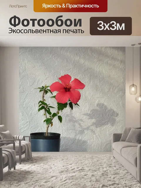 Фотообои Красный