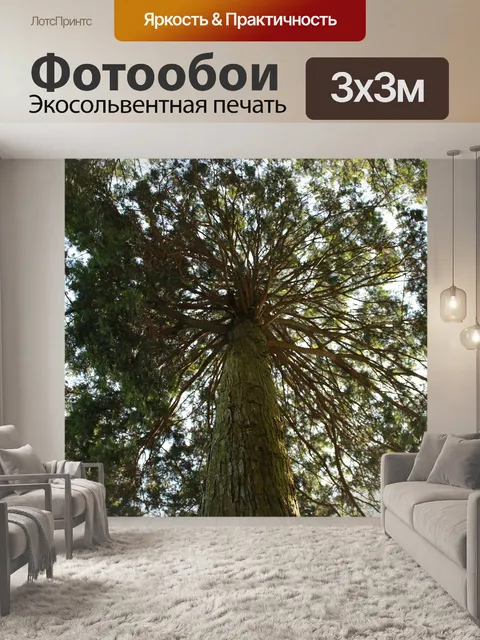 Фотообои Вудс