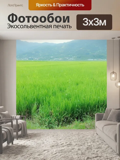 Фотообои Рисовые поля