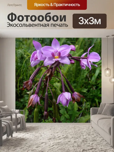 Фотообои Остров