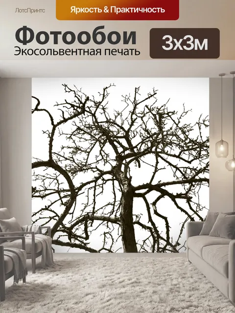 Фотообои Дерево без листьев