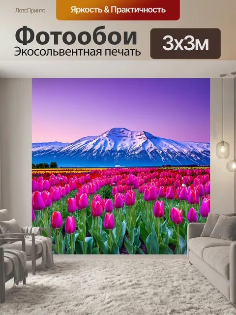 Фотообои снимок тюльпанов, обрамленных снежными пиками гор, с небом, окрашенным в яркие оттенки фиолетового и розового