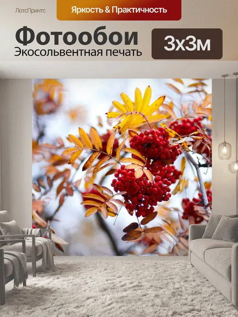 Фотообои Рябина