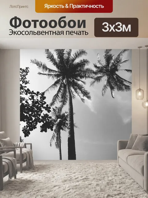 Фотообои Пальмы