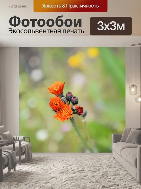 Фотообои Голландские цветы в садах 11