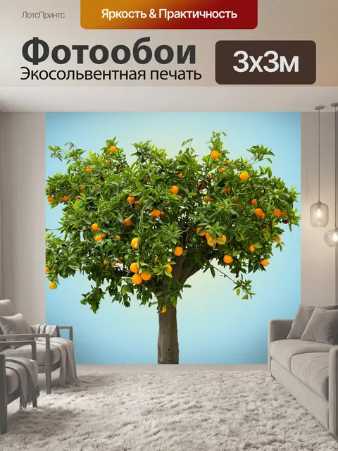 Фотообои Природа