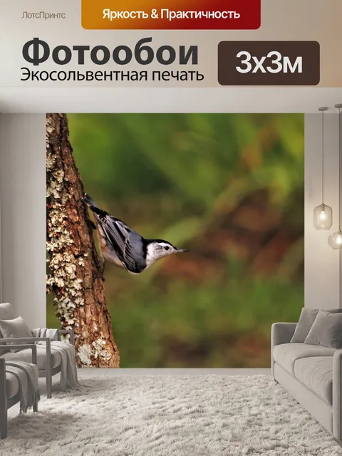 Фотообои Белогрудый поползень на дереве