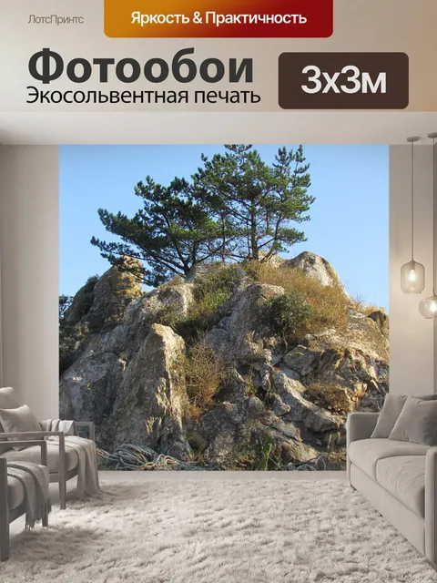 Фотообои Рок