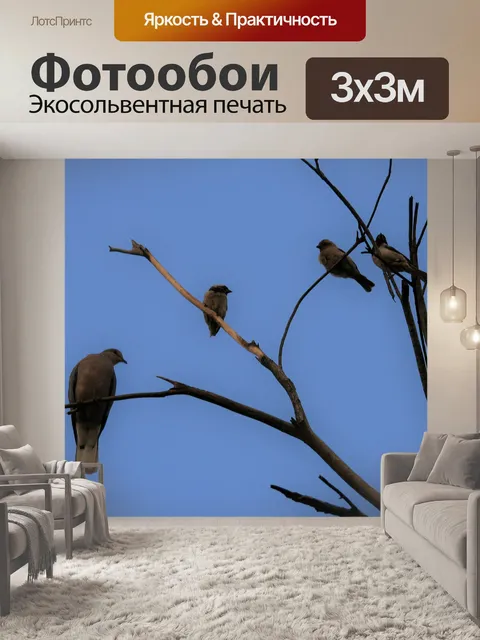 Фотообои сбор птицы