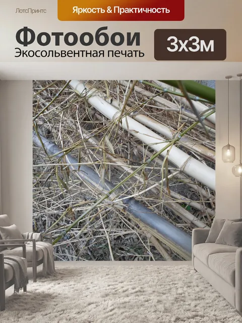 Фотообои Сухой бамбук соломенная 06