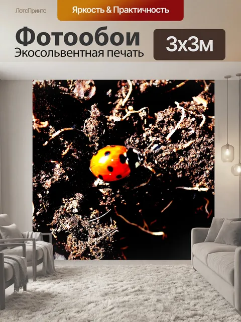 Фотообои божья коровка