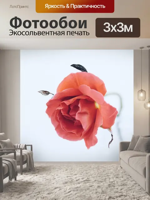 Фотообои Розы
