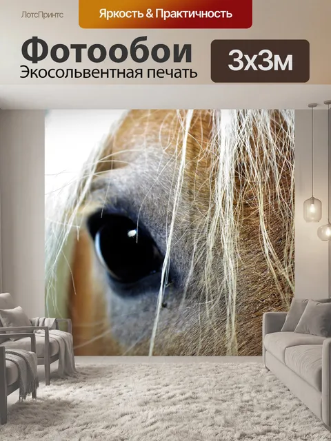 Фотообои Лошадь
