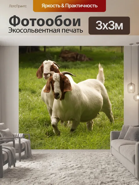 Фотообои Коза пастбище домашнее животное бурская