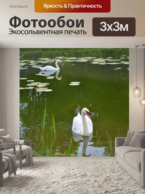 Фотообои Лебедь