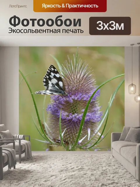 Фотообои Цветок