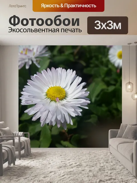Фотообои Дейзи