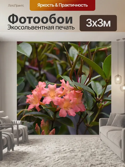 Фотообои Нежный розовый цветок тропического леса
