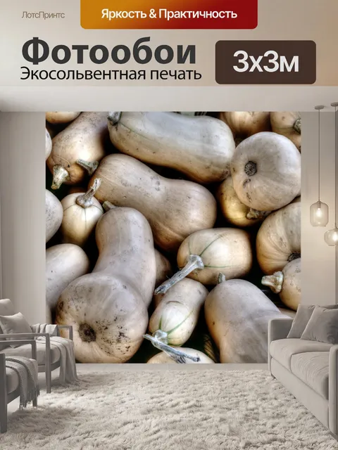 Фотообои Зимний сквош