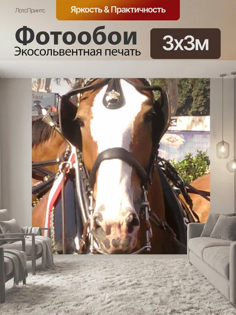 Фотообои Элегантный Клайдсдейл
