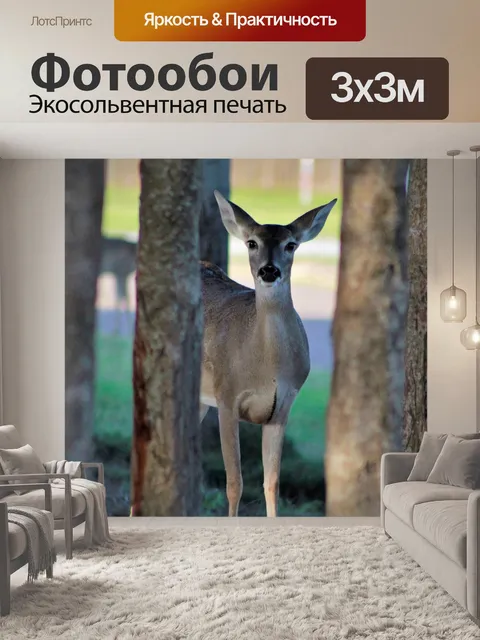 Фотообои Лань