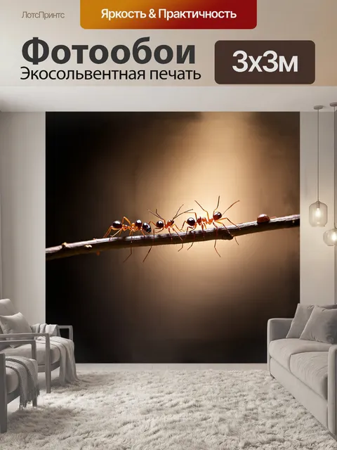 Фотообои три муравья, цепляющиеся за веточку, удерживаются в равновесии на краю ветви