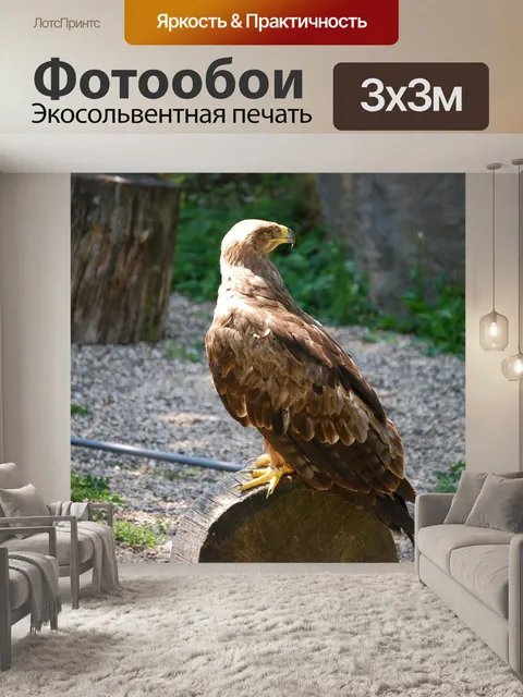 Фотообои Канюк