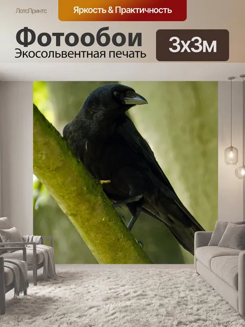 Фотообои Птица