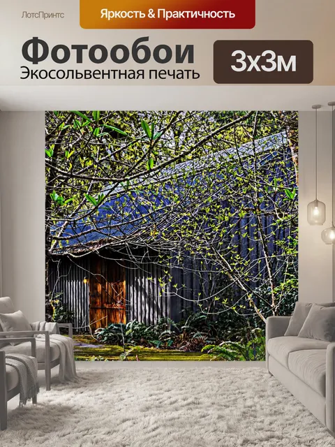 Фотообои Хижина в лесу