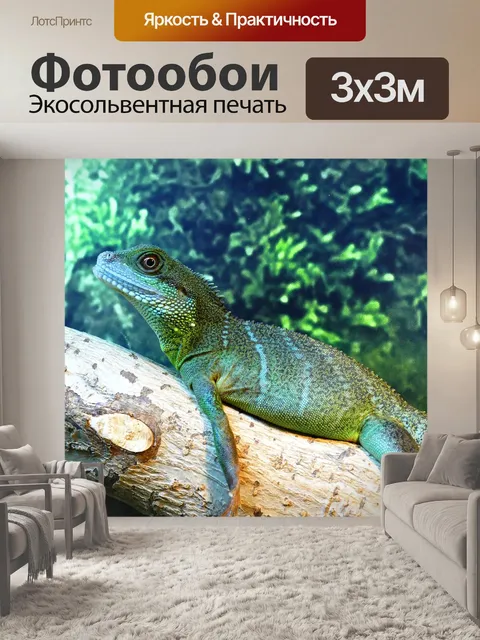 Фотообои Китайские воды дракон