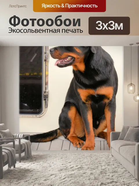 Фотообои Все доски 2
